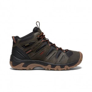 Buty Trekkingowe Keen Headout Waterproof Męskie Brązowe | FTMLQEV-85