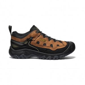 Buty Trekkingowe Keen Targhee IV Vented Męskie Brązowe | GQKIAWE-60