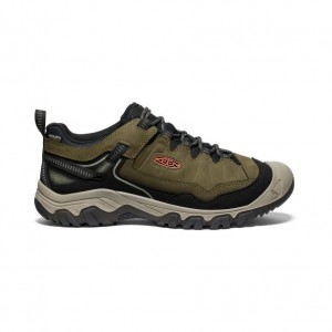 Buty Trekkingowe Keen Targhee IV Wide Waterproof Męskie Oliwkowe | UXIFRZE-86