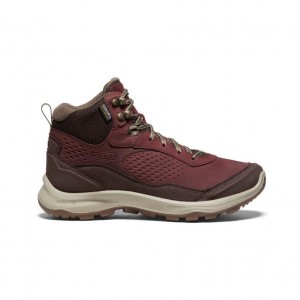 Buty Trekkingowe Keen Terradora Explorer Waterproof Damskie Czerwone | YNKUCJS-46